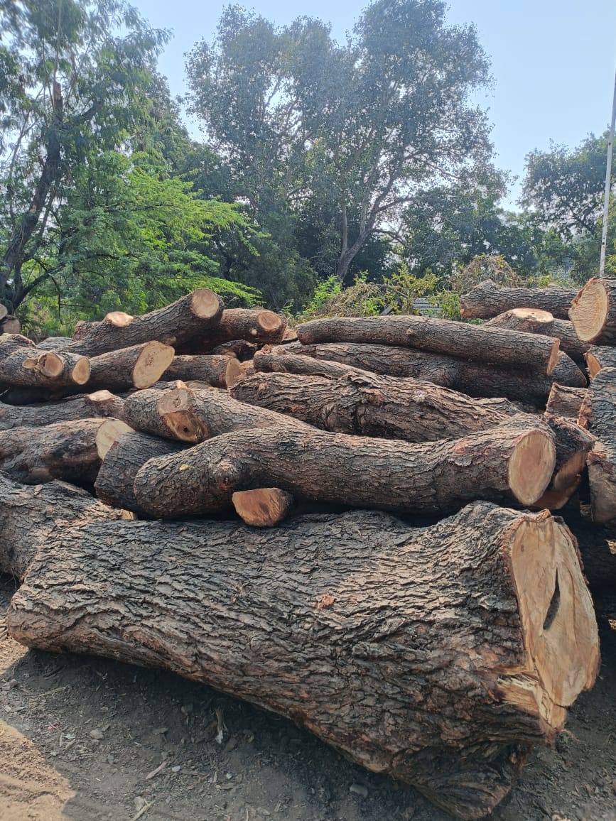 Bulk timber storage