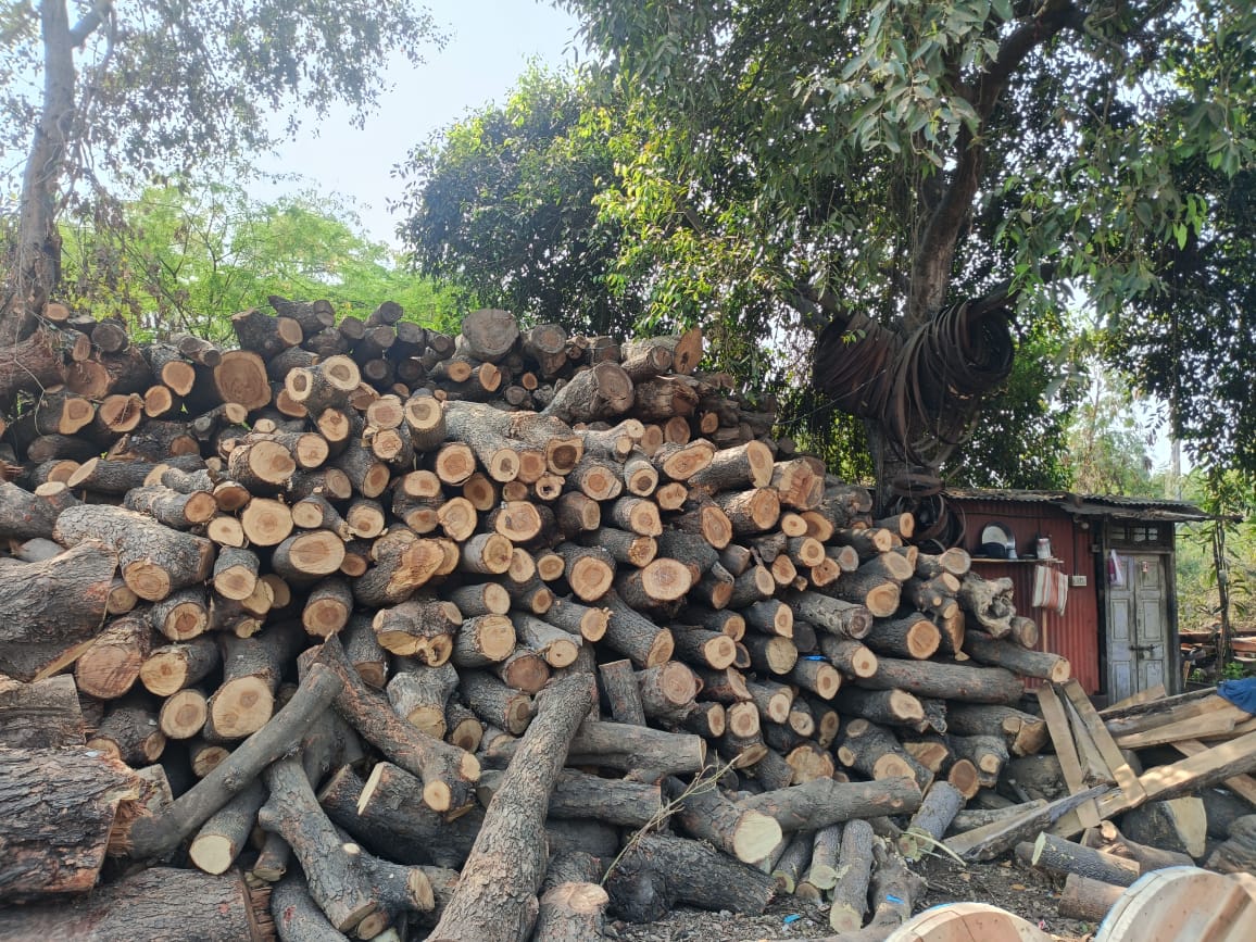 Seasoned wood logs